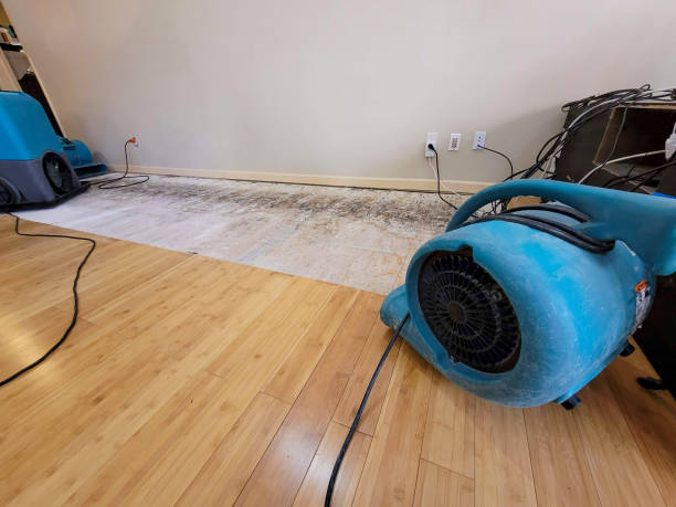 Professional Water Damage Repair technician working in Crystal City, TX
